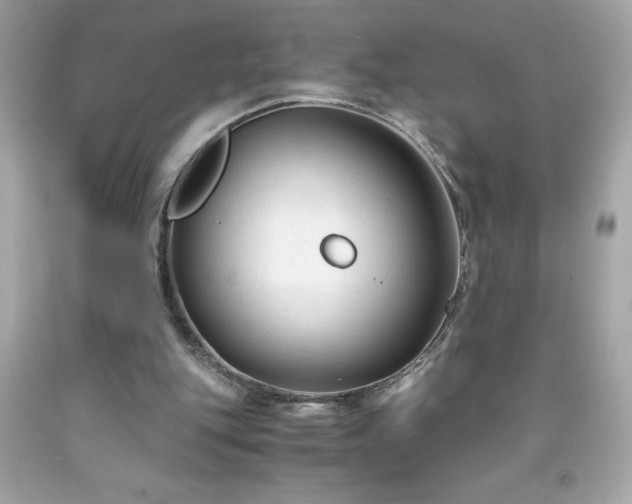 X0000091920151200709121545