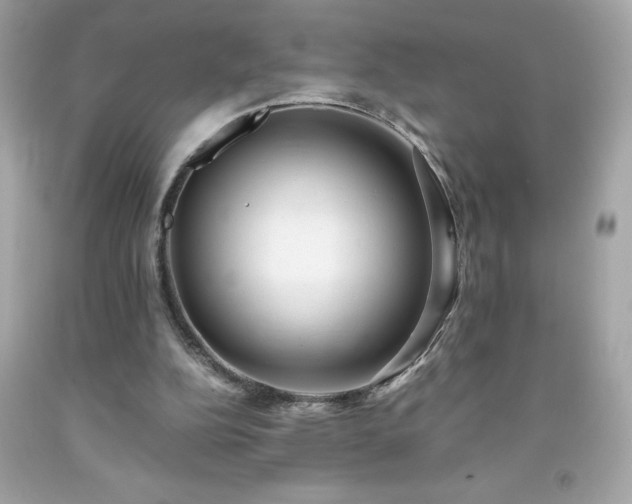X0000091920152200709121545