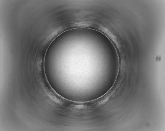 X0000091920153200709121545