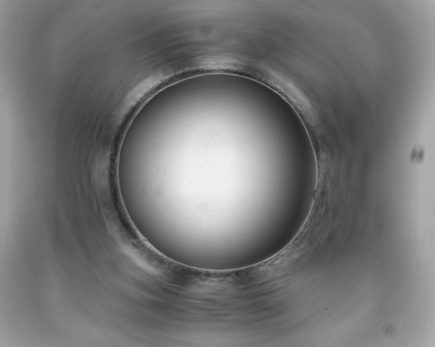 X0000091920155200709121545
