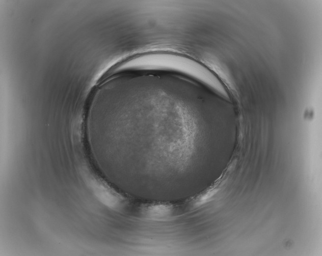 X0000091920156200709121545