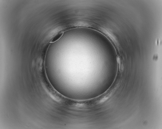 X0000091920157200709121545