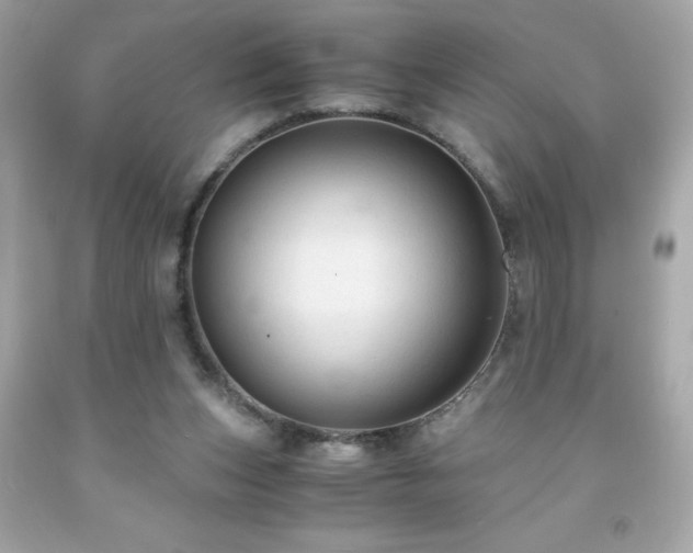 X0000091920159200709121545