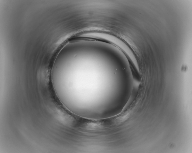 X0000091920160200709121545