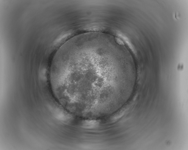 X0000091920161200709121545