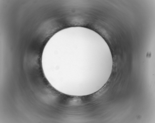 X0000091920162200709121545