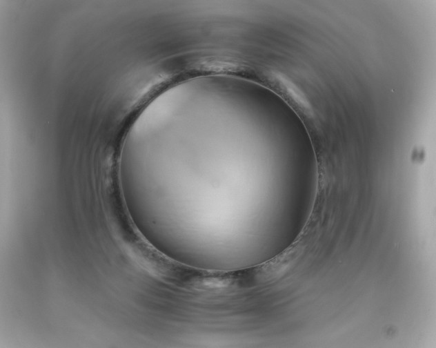 X0000091920163200709121545