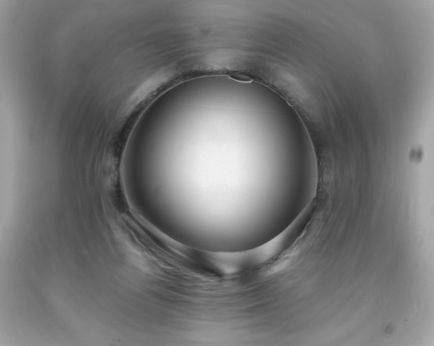 X0000091920164200709121545