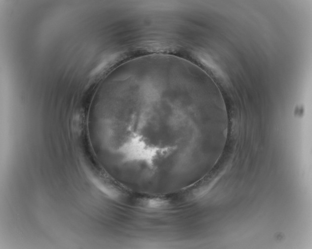 X0000091920165200709121545