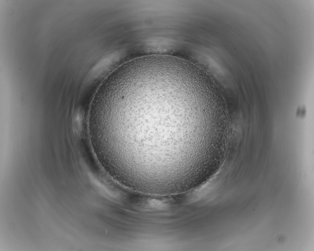 X0000091920166200709121545