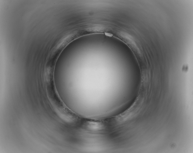 X0000091920167200709121546