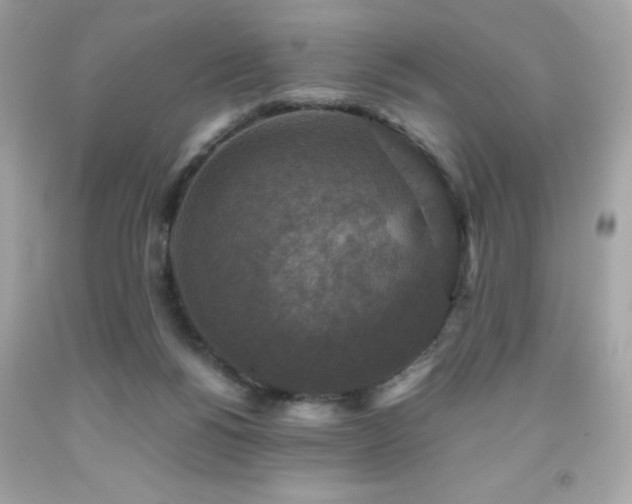 X0000091920168200709121546