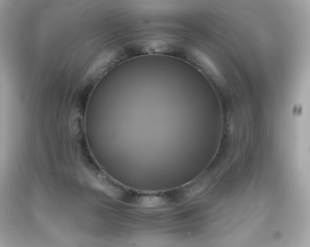 X0000091920169200709121546