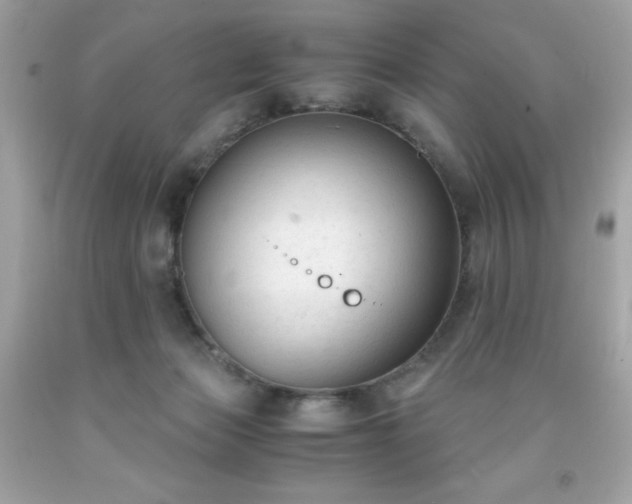X0000091920173200709121546