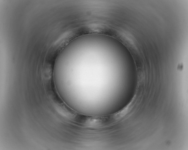 X0000091920174200709121546