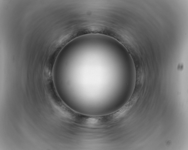 X0000091920176200709121546
