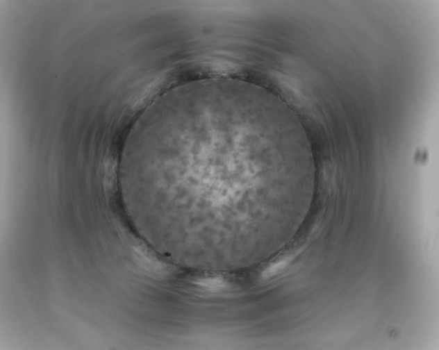 X0000091920177200709121546