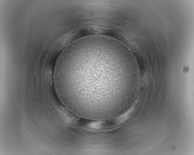 X0000091920178200709121546