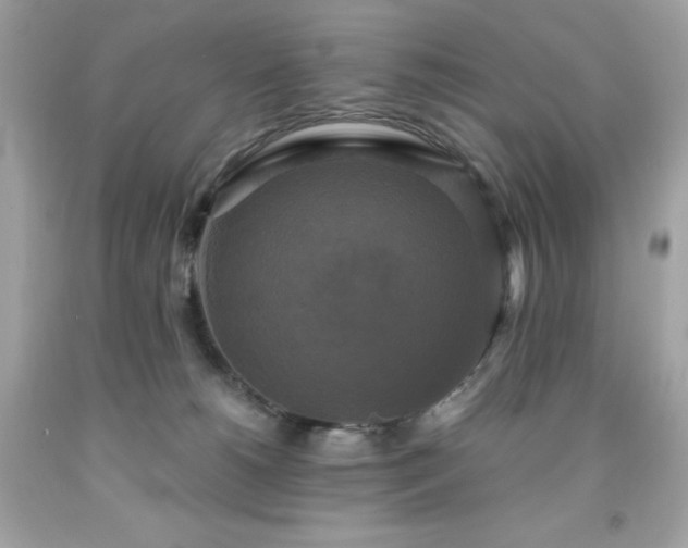 X0000091920180200709121546