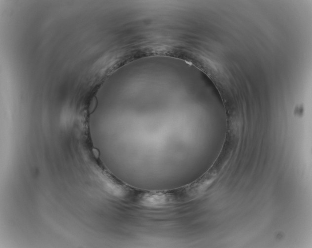 X0000091920181200709121546