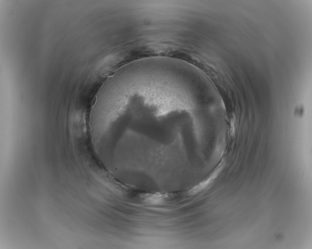 X0000091920182200709121546