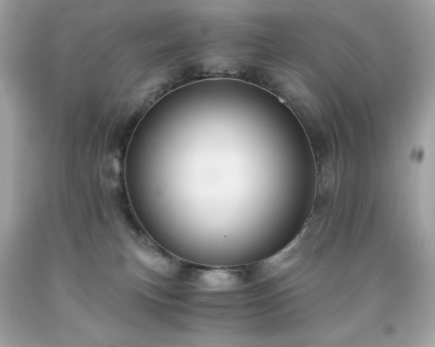 X0000091920183200709121546