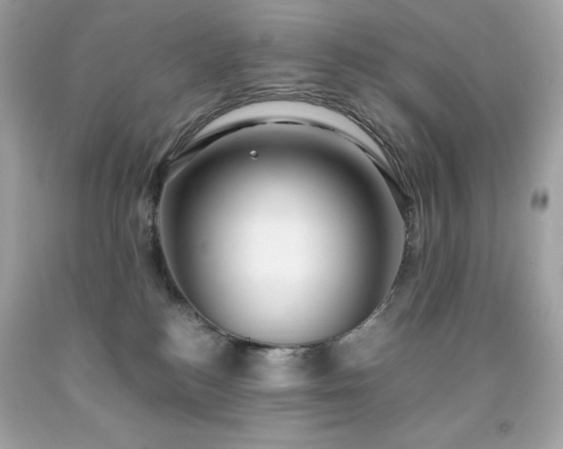 X0000091920184200709121546