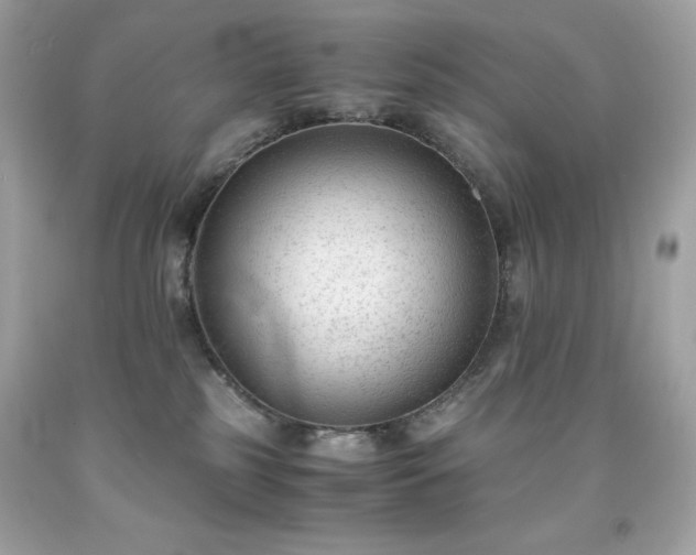 X0000091920185200709121546