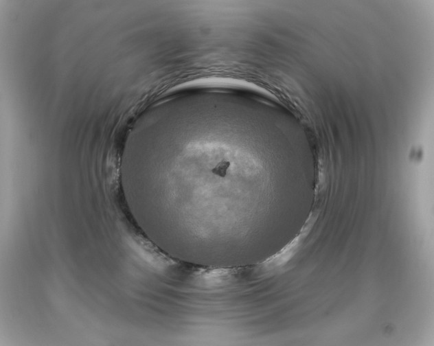 X0000091920186200709121546