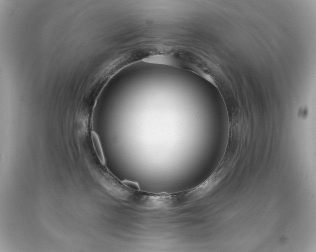 X0000091920188200709121546
