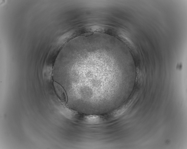 X0000091920189200709121546