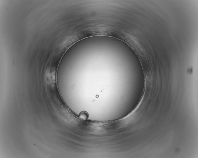 X0000091920190200709121546