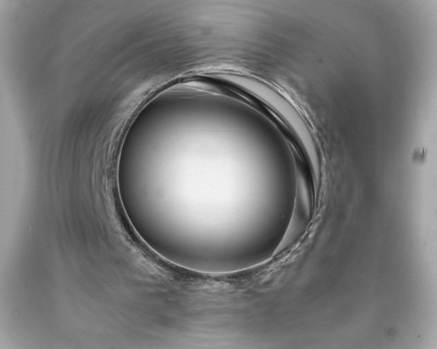 X0000091920193200709121545