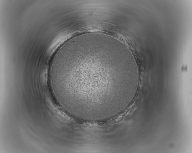 X0000091920194200709121545