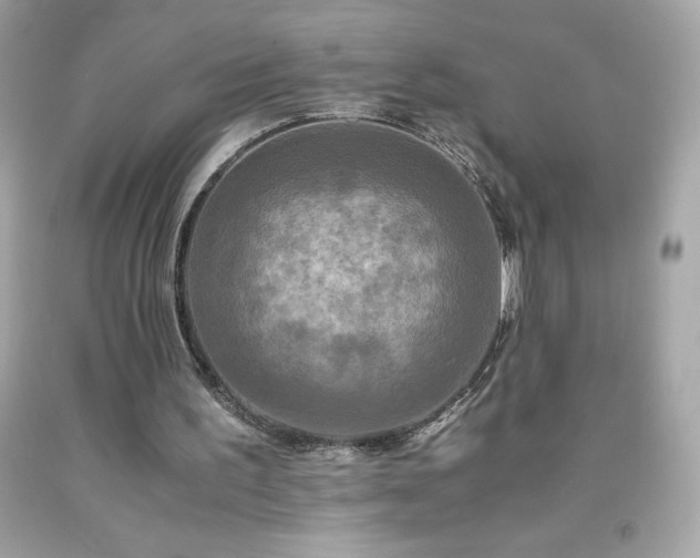 X0000091920195200709121545