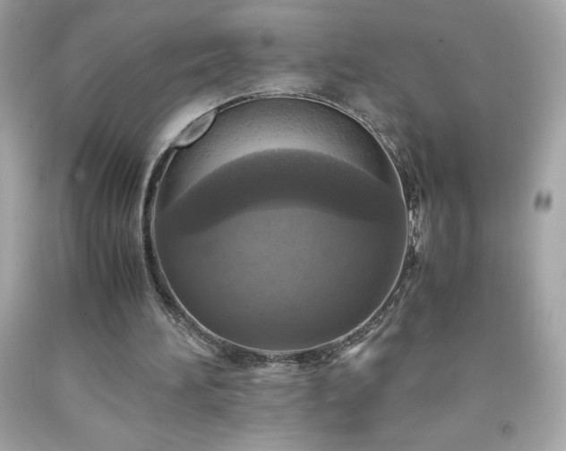 X0000091920196200709121545