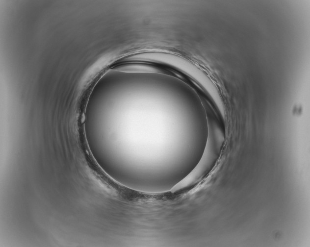 X0000091920197200709121545