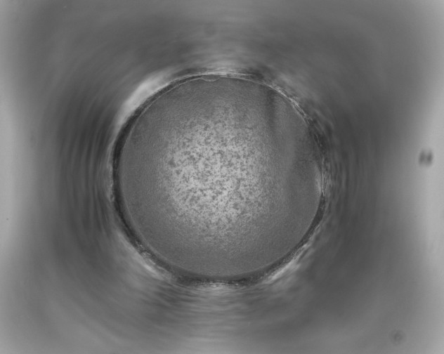 X0000091920198200709121545