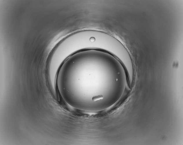X0000091920199200709121545