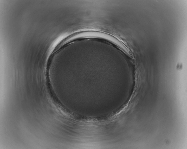 X0000091920200200709121545