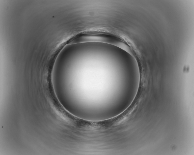 X0000091920201200709121545