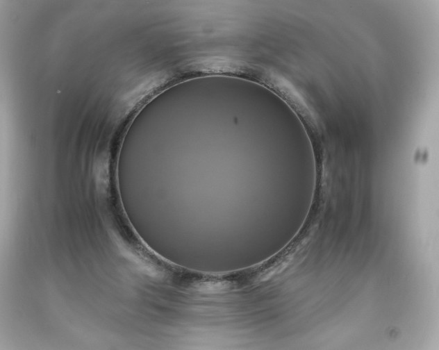 X0000091920202200709121545