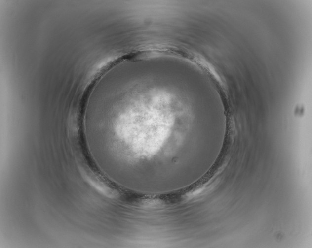 X0000091920203200709121545