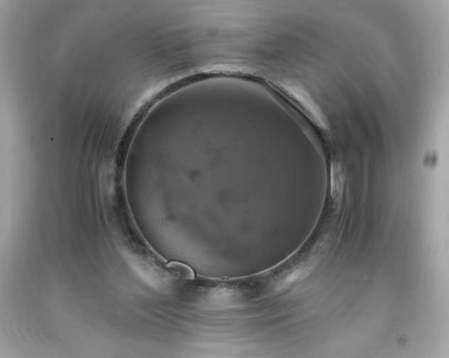 X0000091920204200709121545