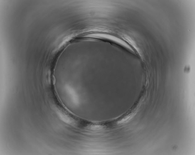 X0000091920205200709121545