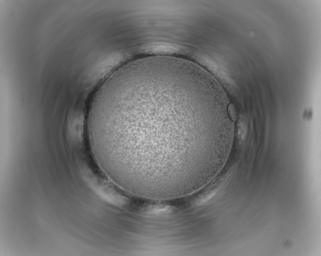 X0000091920206200709121545