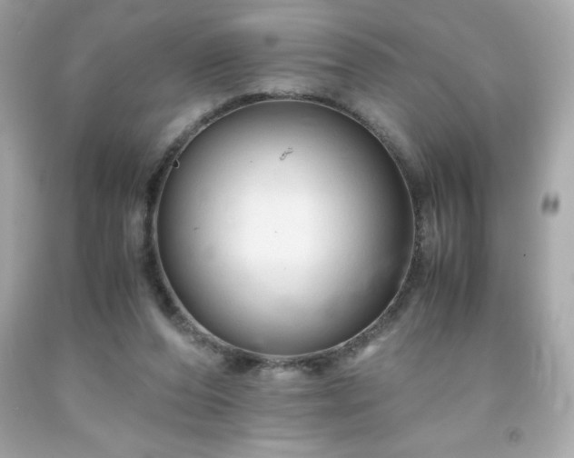 X0000091920208200709121545