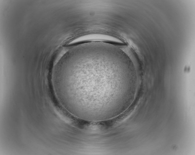 X0000091920209200709121545