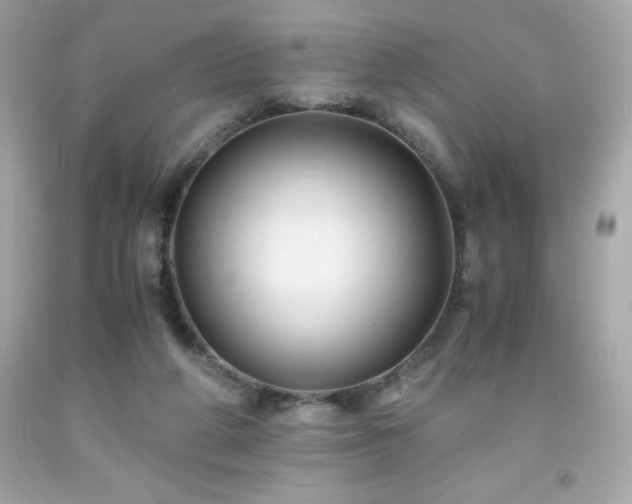 X0000091920210200709121545