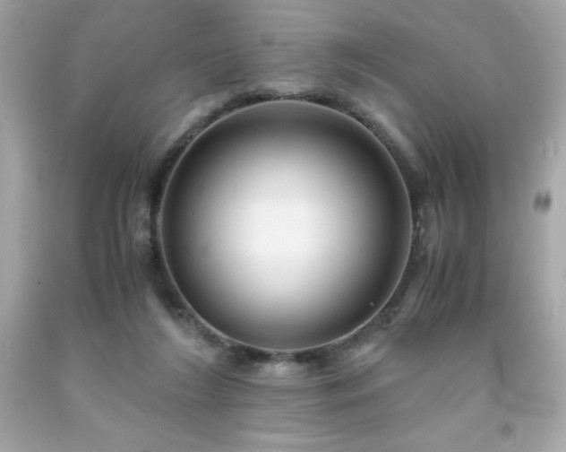 X0000091920212200709121545